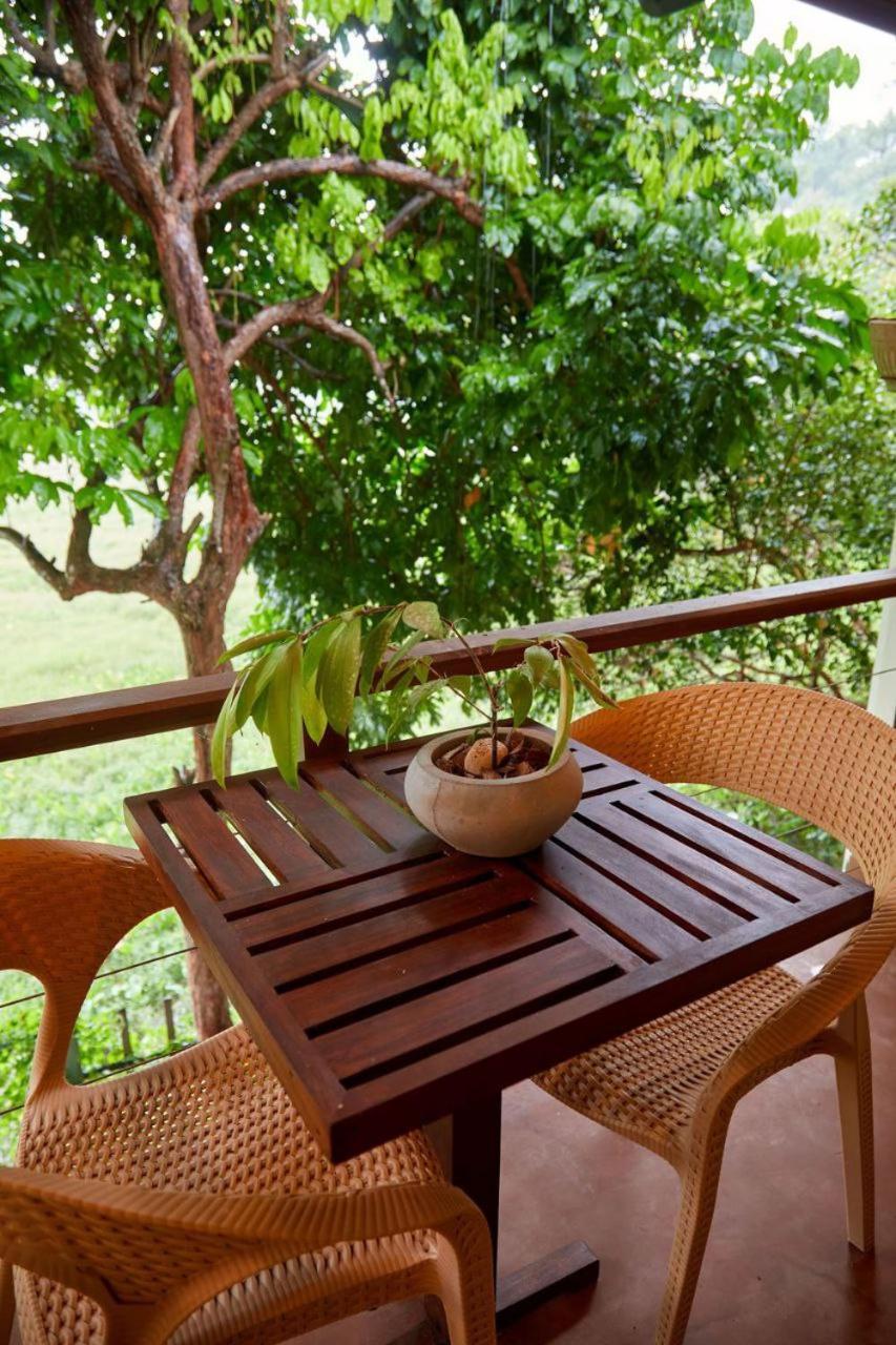 Green View Homestay Galle Bagian luar foto
